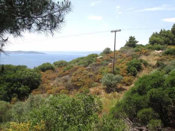 Land In Aristotle, Greece