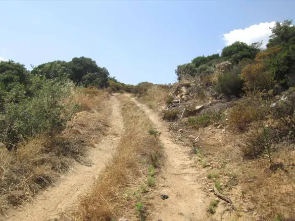 Land In Aristotle, Greece