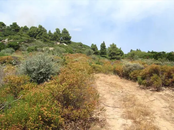 Land In Aristotle, Greece