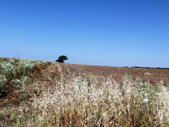 Land In Nea Propontida, Greece