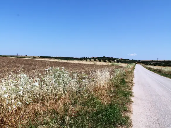 Land In Nea Propontida, Greece