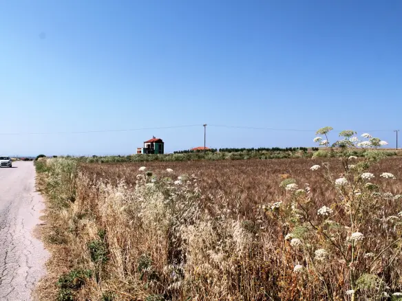 Land In Nea Propontida, Greece