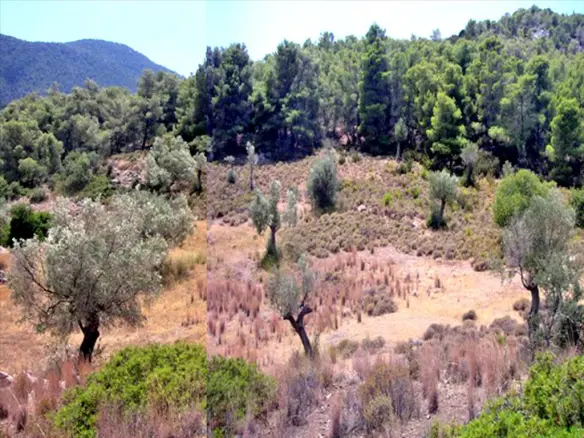 Land In Loutraki-perachora, Greece