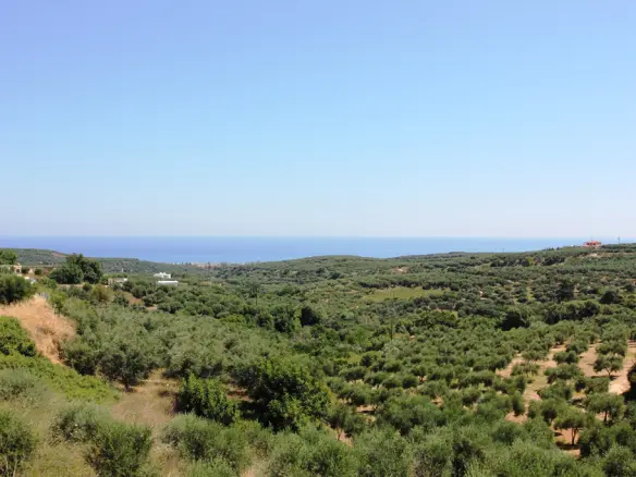 3500 M² Plot Available In Crete, Ideal For Development
