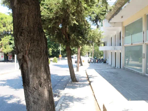 Business In Rhodes, Greece (3.000 M²)