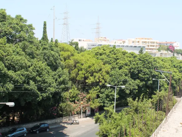 Business In Rhodes, Greece (3.000 M²)