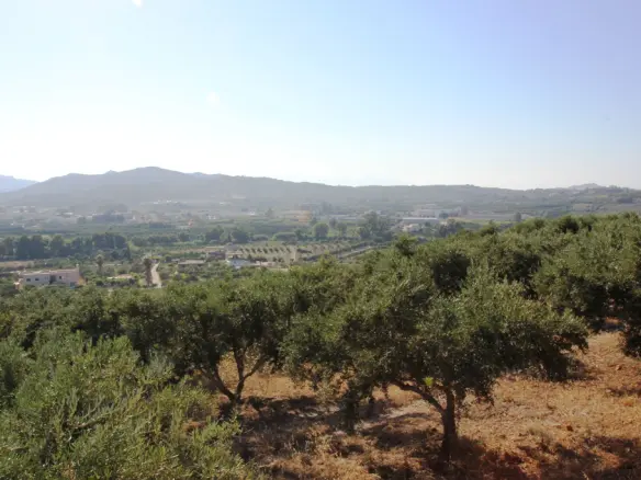 Land In Greece