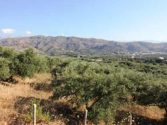 Land In Greece