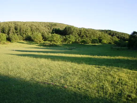 Land In Poligiros, Greece