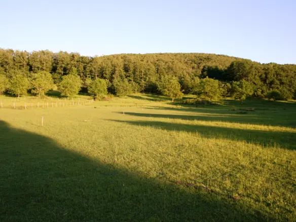 Land In Poligiros, Greece
