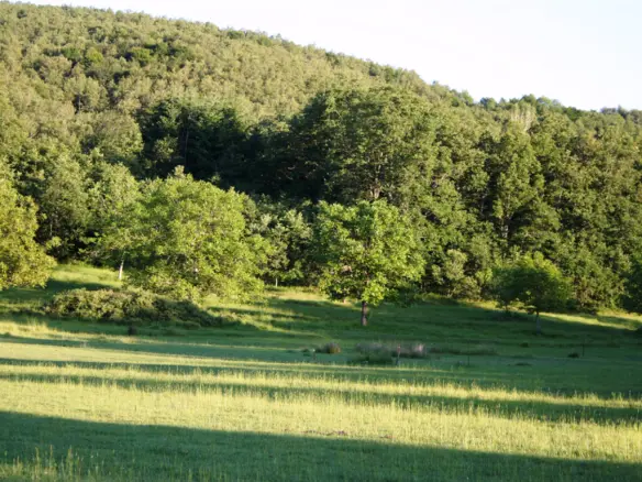 Land In Poligiros, Greece