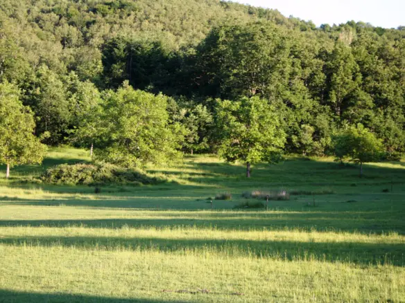 Land In Poligiros, Greece