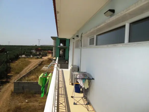 Business In Nea Propontida, Greece (300 M²)