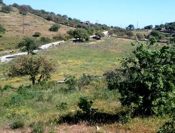 Land In Greece