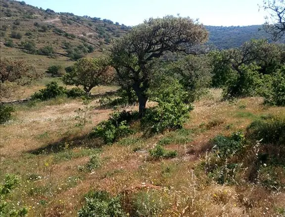Land In Greece
