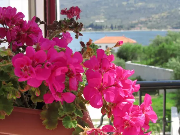 7-bedroom Villa In Tolofona, Greece (595 M²)
