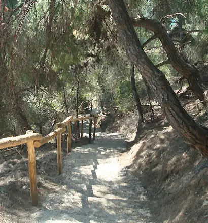 Hotel In Kassandra, Greece (2.000 M²)