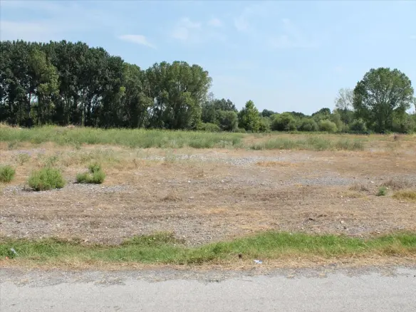 4000 M² Land Parcel Available On The Olympic Coast