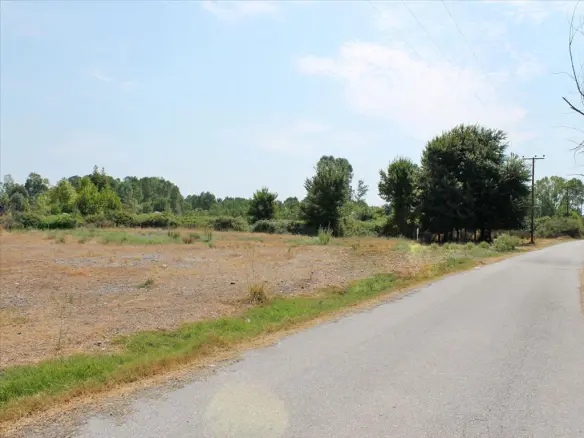 Land In Katerini, Greece