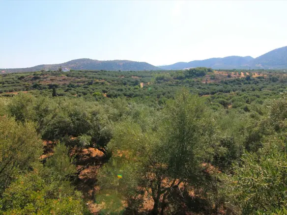 Land In Vrachasi, Greece (5.000 M²)