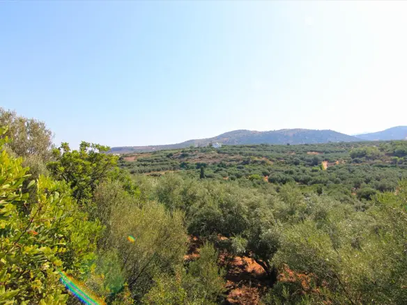 Land In Vrachasi, Greece (5.000 M²)