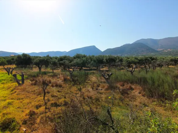 Land In Vrachasi, Greece (5.500 M²)
