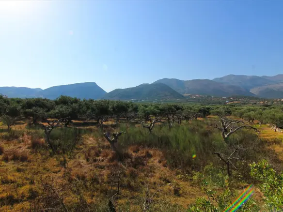 Land In Vrachasi, Greece (5.500 M²)