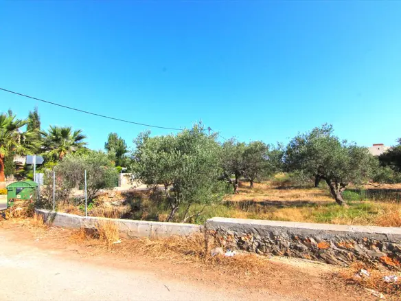Land In Vrachasi, Greece (5.500 M²)