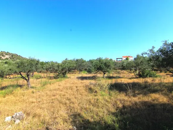 Land In Vrachasi, Greece (5.500 M²)