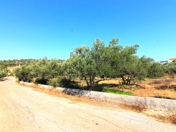 Land In Vrachasi, Greece (5.500 M²)