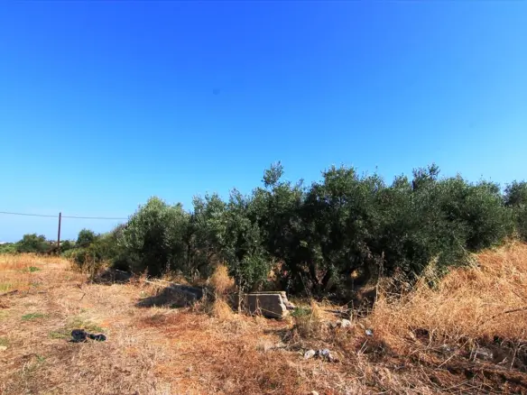 Land In Vrachasi, Greece (2.000 M²)