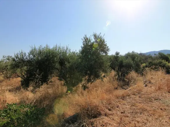Land In Vrachasi, Greece (2.000 M²)