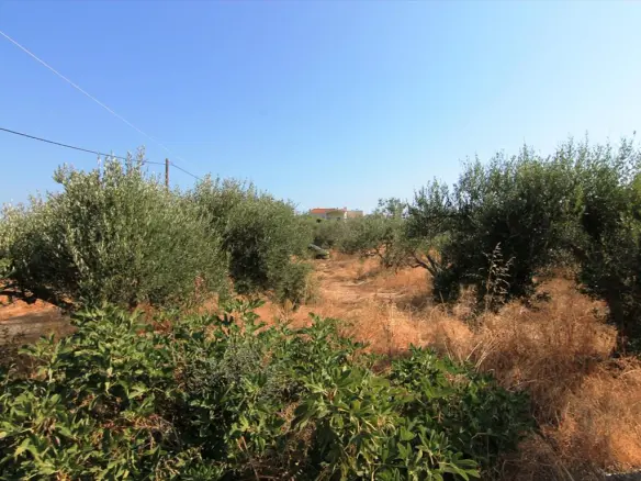 Land In Vrachasi, Greece (2.000 M²)