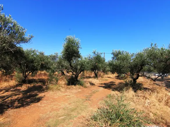 Land In Vrachasi, Greece (2.000 M²)