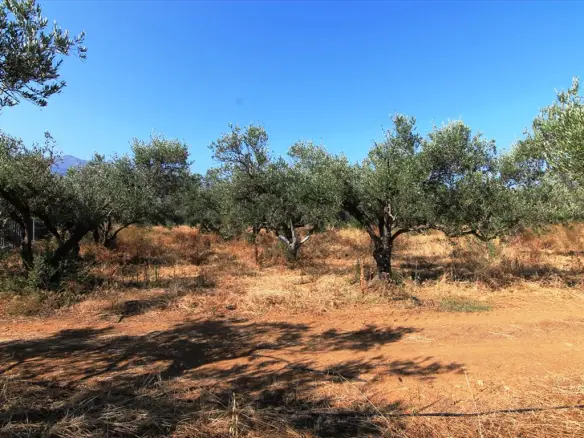 Land In Vrachasi, Greece (2.000 M²)