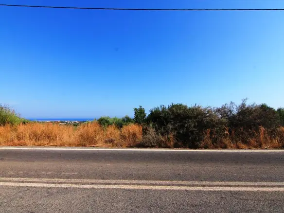 Land In Vrachasi, Greece (2.000 M²)