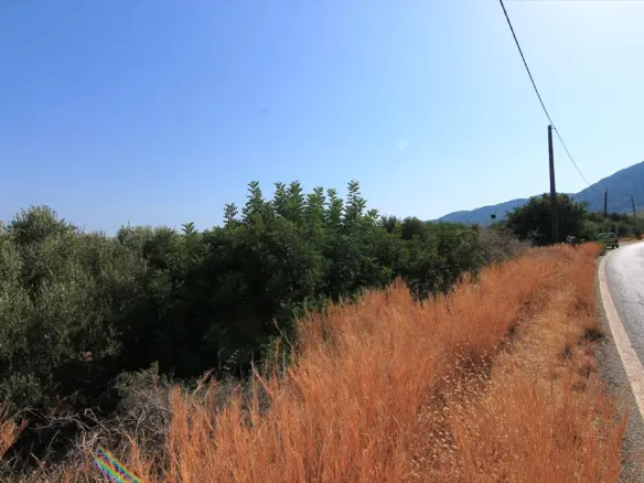 Land In Vrachasi, Greece (2.000 M²)