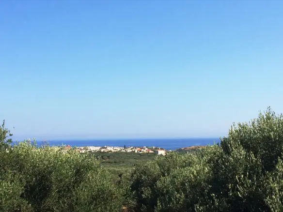 Land In Vrachasi, Greece (2.000 M²)