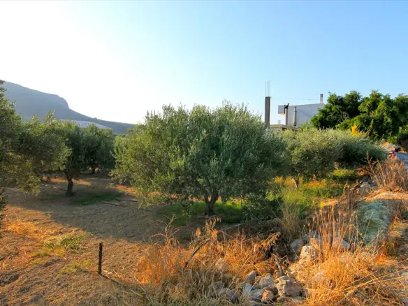 Land In Gouves, Greece (1.800 M²)