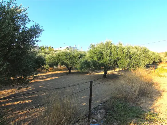 Land In Gouves, Greece (1.800 M²)