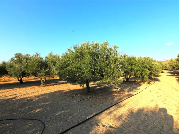 Land In Gouves, Greece (1.800 M²)