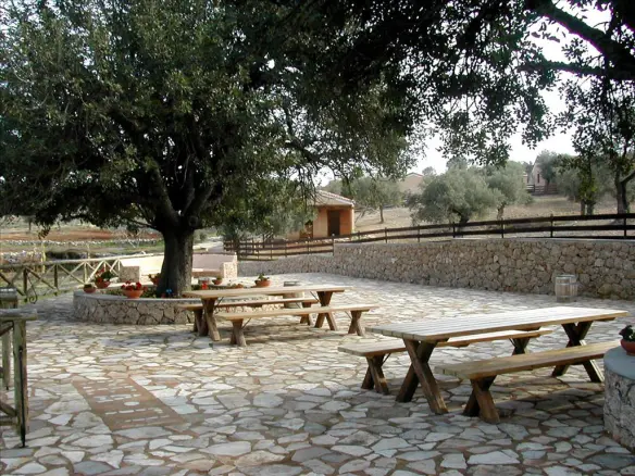 Land Parcel Of 44,600 M² Located In Eastern Peloponnese