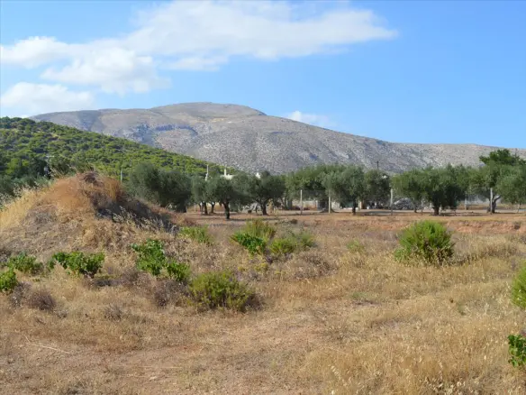 Land In Anavissos, Greece