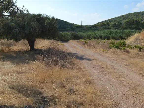 Land In Anavissos, Greece