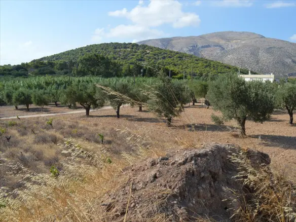 Land In Anavissos, Greece