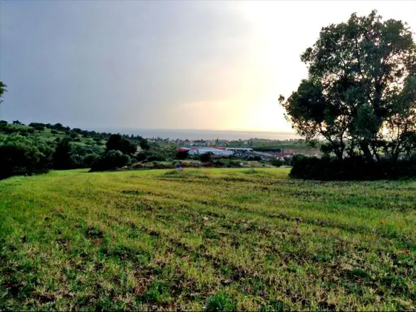 Land In Poligiros, Greece