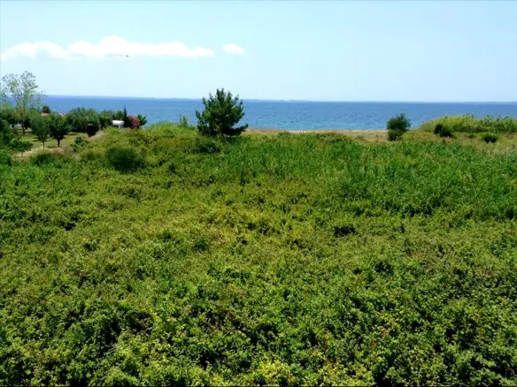 Land In Poligiros, Greece
