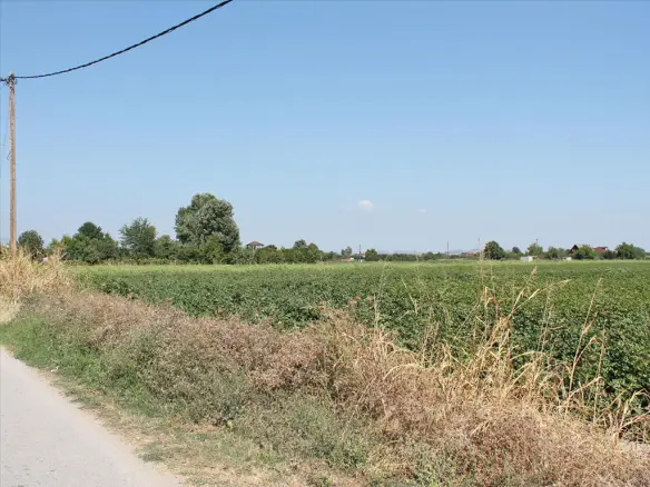 Land In Katerini, Greece