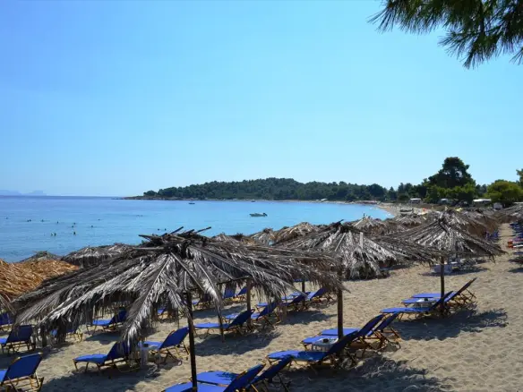 15500 M² Parcel Of Land In Kassandra, Chalkidiki Region