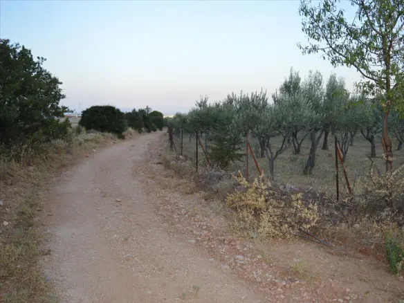 Land In Koropi, Greece